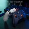 my-11134207-7rase-m48e2izwm94p61.webp Random GameSir T4 Nova Lite Controller