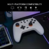 my-11134207-7rash-m48e2izwp29lfc.webp Random GameSir T4 Nova Lite Controller